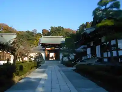 天嶽院の山門・神門