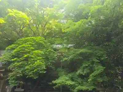 金蔵寺(京都府)