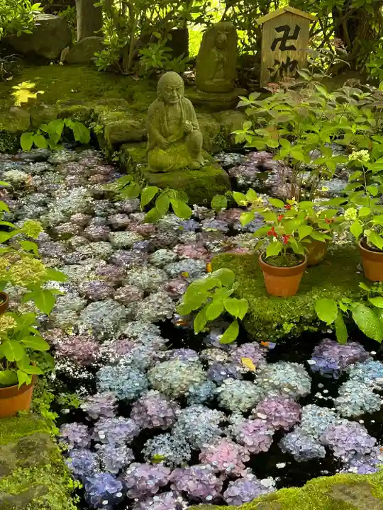 長谷寺(神奈川県)