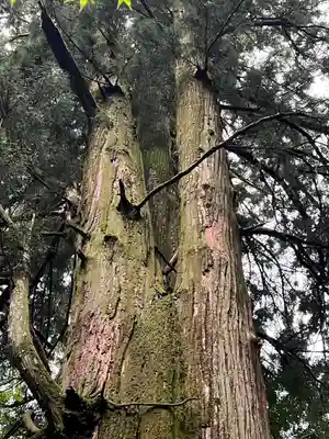 花園神社(茨城県)