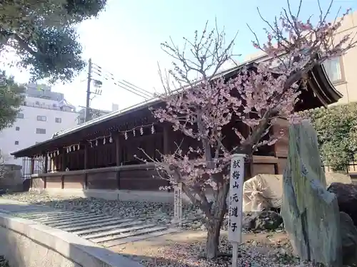 大阪天満宮の本殿・本堂