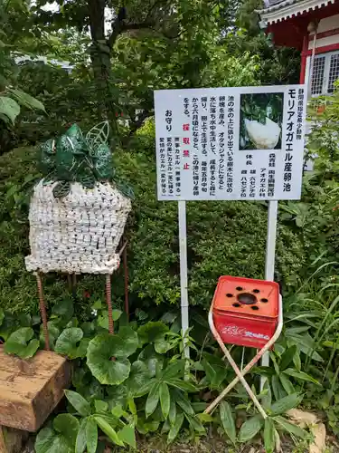 清水寺の建物その他