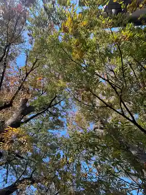 前川神社(埼玉県)