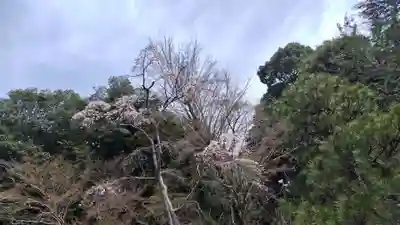 出雲大神宮(京都府)