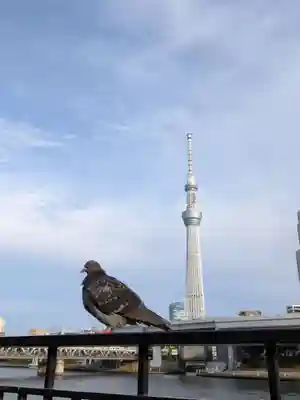 浅草神社の周辺