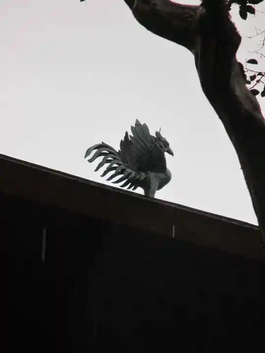 慈照寺(慈照禅寺・銀閣寺)の狛犬