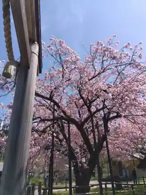 春日神社(京都府)