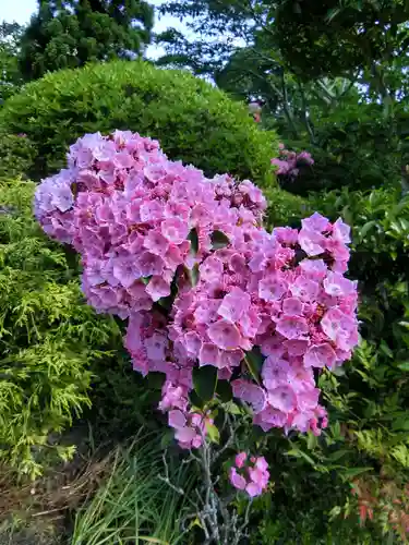 子安地蔵寺の自然