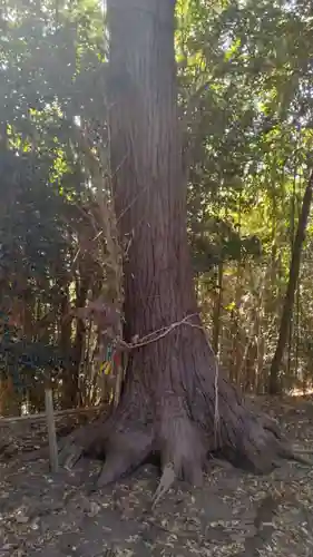 本壽院(宮城県)