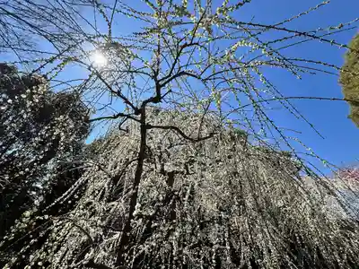 城南宮(京都府)