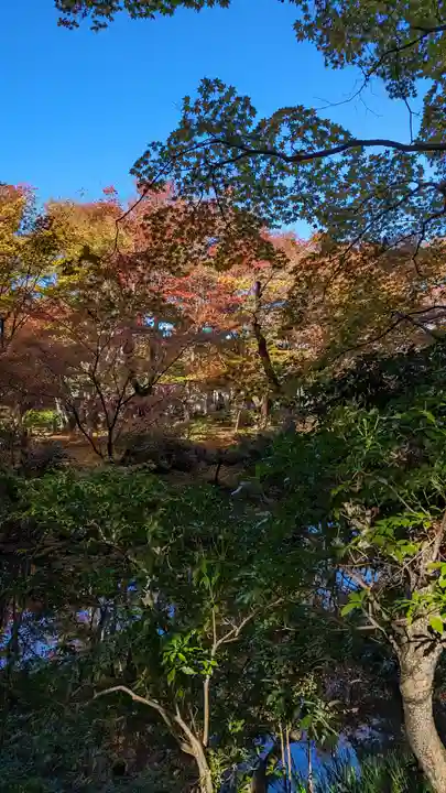 圓光寺(京都府)