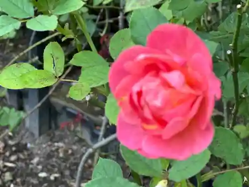 円通院(宮城県)