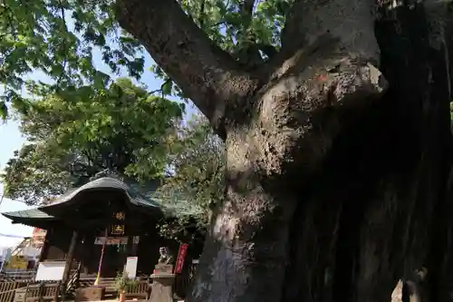 阿邪訶根神社の景色