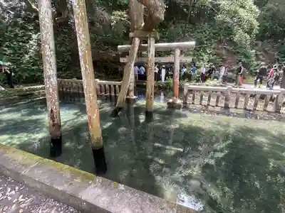 鹿島神宮(茨城県)