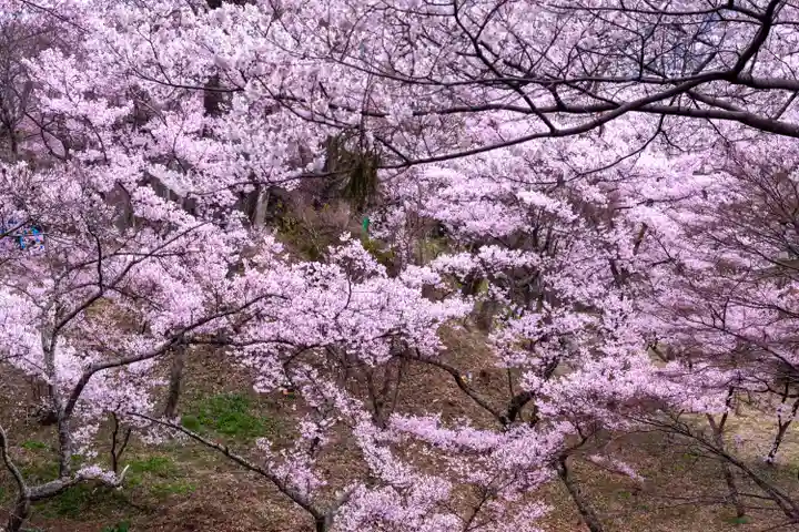 新城藤原神社(長野県)