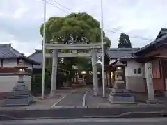 八幡社の鳥居