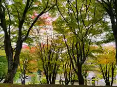 土津神社｜こどもと出世の神さまの景色