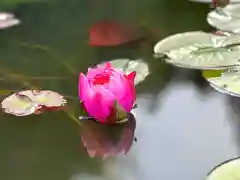 倶梨迦羅神社の自然