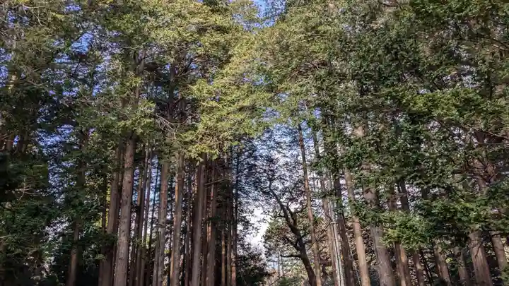 開拓神社の周辺