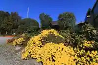 豊景神社の庭園