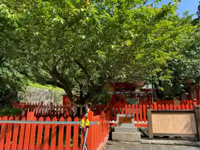 金櫻神社(山梨県)