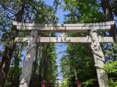 馬橋稲荷神社の鳥居