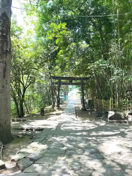 渋谷氷川神社の鳥居