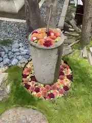 行田八幡神社の庭園