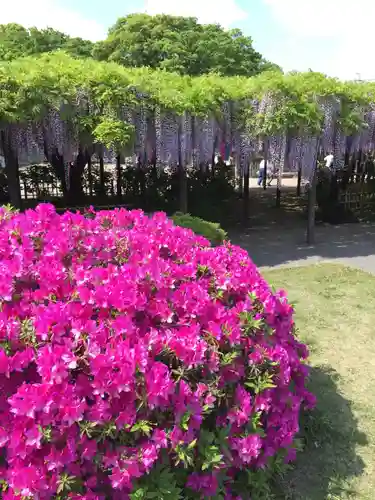 玉敷神社の庭園