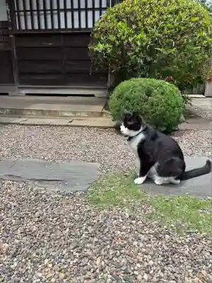 観福寺(千葉県)