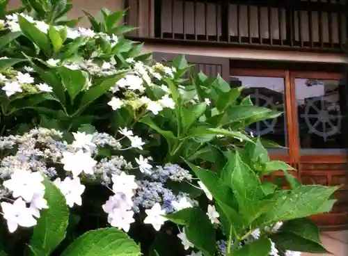 宝祥寺(東京都)