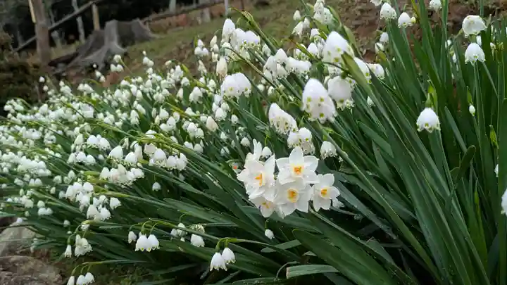 石山寺(滋賀県)