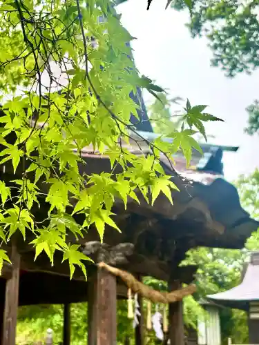 蚊里田八幡宮の{uncategorized: "未分類", other: "その他", undefined: "問題あり", building: "その他建物", grave: "お墓", sacred_gate: "鳥居", guardian: "狛犬", statue: "像", buddha: "仏像", history: "歴史", nature: "自然", garden: "庭園", animal: "動物", pagoda: "塔", temizu: "手水舎", mountain_gate: "山門・神門", sanctuary: "本殿・本堂", subordinate: "末社・摂社", art: "芸術", scenery: "景色", jizo: "地蔵", ema: "絵馬", goshuin: "御朱印", omikuji: "おみくじ", items: "授与品その他", amulet: "お守り", goshuincho: "御朱印帳", eats: "食事", festival: "お祭り", votive_dance: "神楽", shichigosan: "七五三参", wedding: "結婚式", experience: "体験その他", initially: "初詣", around: "周辺", anti_infection: "感染症対策"}