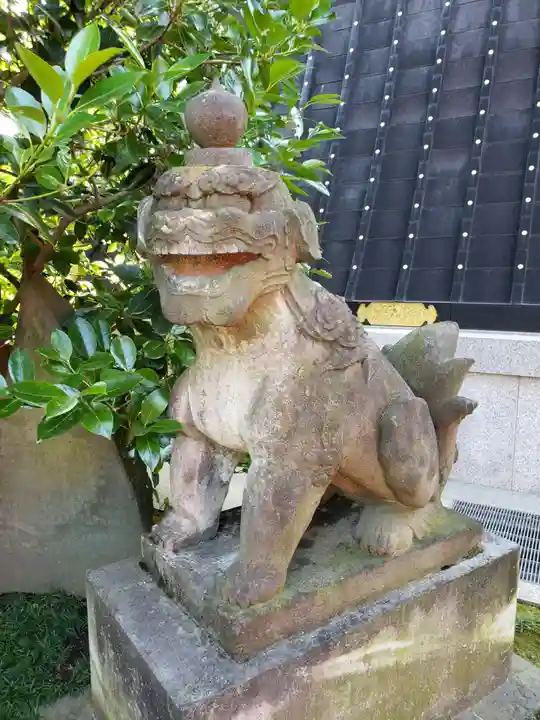 穴八幡宮の狛犬