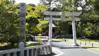 桜ヶ池池宮神社の鳥居
