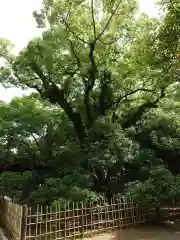 浜松八幡宮(静岡県)