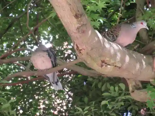 浄光明寺(神奈川県)