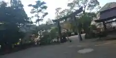 宇良神社(浦嶋神社)の鳥居