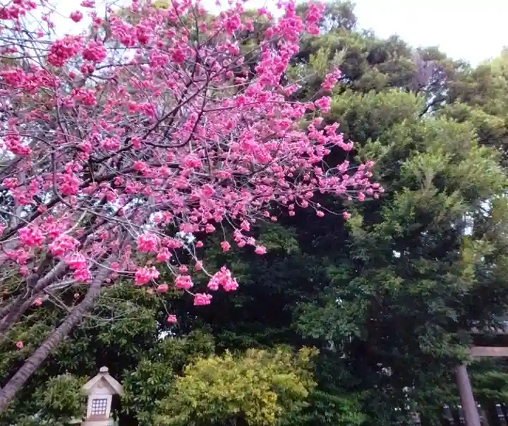 靖國神社(東京都)