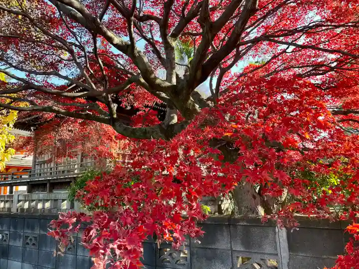 愛染院(東京都)