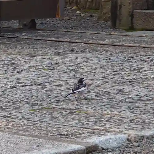 町田天満宮(東京都)