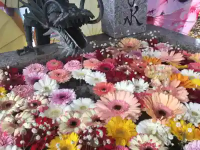 札幌諏訪神社の手水舎