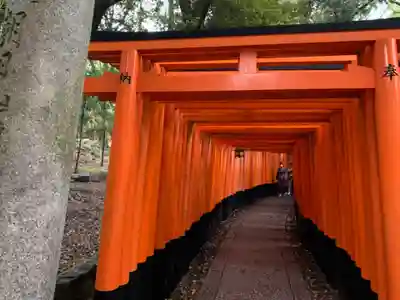 伏見稲荷大社の鳥居
