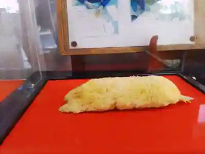 下野 星宮神社(栃木県)