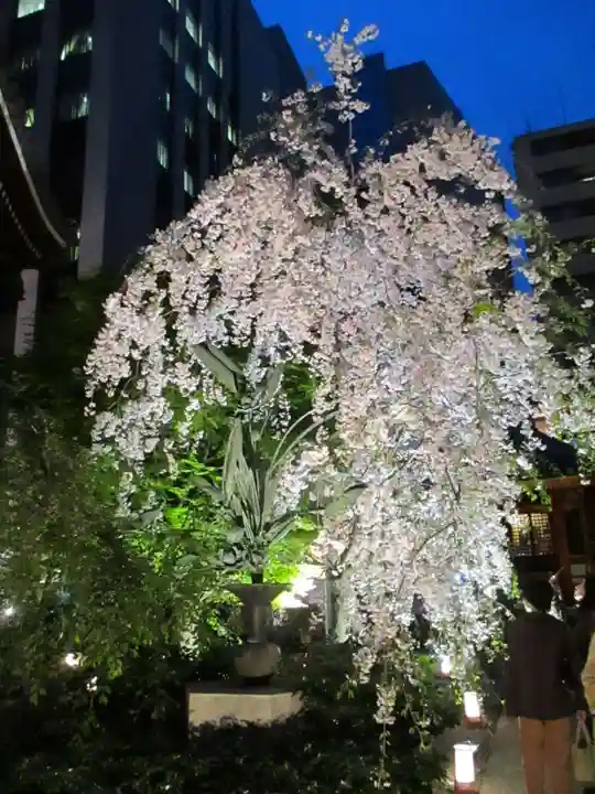 頂法寺(六角堂)の自然