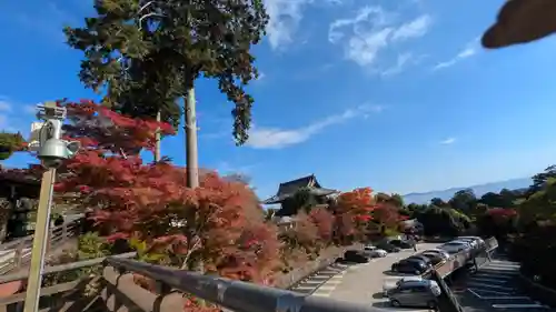 善峯寺(京都府)