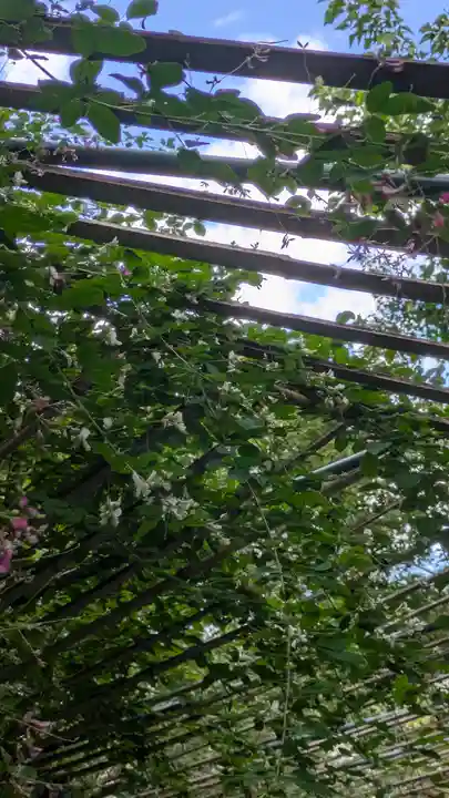 梨木神社(京都府)