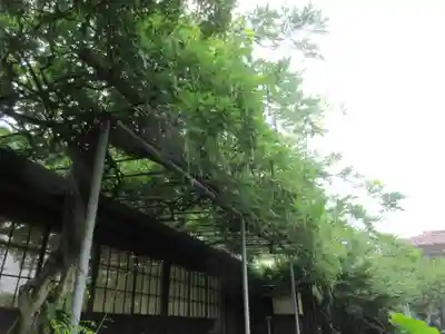 英勝寺(神奈川県)