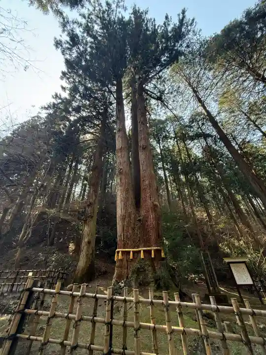 御岩神社の{uncategorized: "未分類", other: "その他", undefined: "問題あり", building: "その他建物", grave: "お墓", sacred_gate: "鳥居", guardian: "狛犬", statue: "像", buddha: "仏像", history: "歴史", nature: "自然", garden: "庭園", animal: "動物", pagoda: "塔", temizu: "手水舎", mountain_gate: "山門・神門", sanctuary: "本殿・本堂", subordinate: "末社・摂社", art: "芸術", scenery: "景色", jizo: "地蔵", ema: "絵馬", goshuin: "御朱印", omikuji: "おみくじ", items: "授与品その他", amulet: "お守り", goshuincho: "御朱印帳", eats: "食事", festival: "お祭り", votive_dance: "神楽", shichigosan: "七五三参", wedding: "結婚式", experience: "体験その他", initially: "初詣", around: "周辺", anti_infection: "感染症対策"}