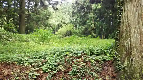 村山浅間神社の自然